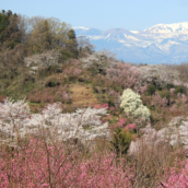 ブラウザから簡単アクセス！福島の陰山建設が「メタ旅 ふくしま」を開発中