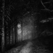 人気ホラーゲームの世界をフォートナイトで体験！「シャドーコリドー（Shadow Corridor）」とは…