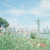 【12月19日発売】VRアドベンチャー「神椿市建設中。VIRTUAL REALITY」の特徴は？