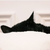 YOYOGI MORI、新作3Dアバターモデルを発表